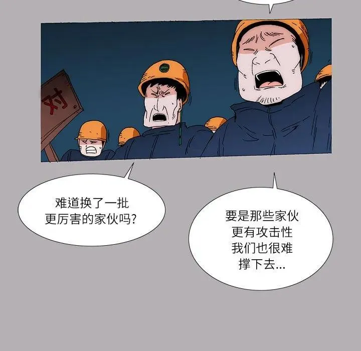 41 第45页