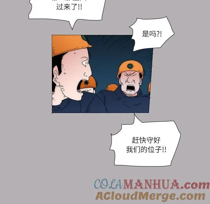 41 第49页