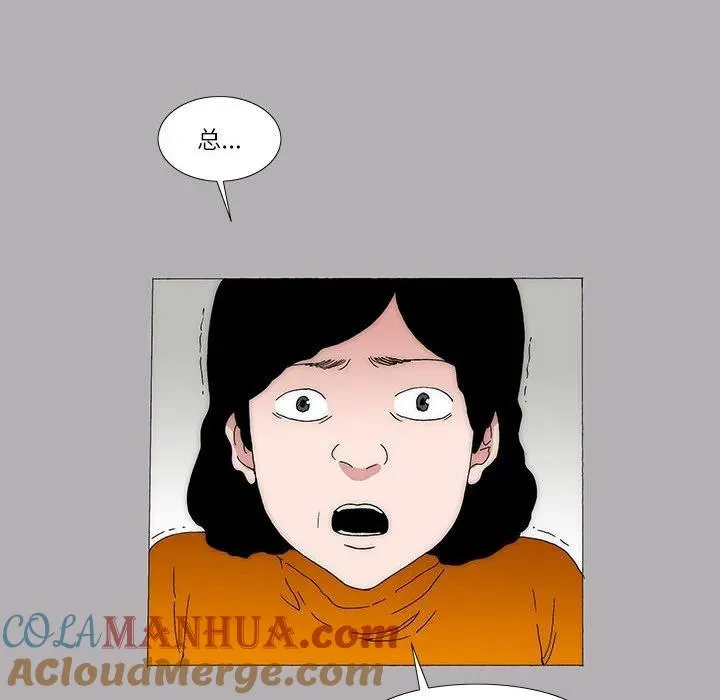 43 第25页