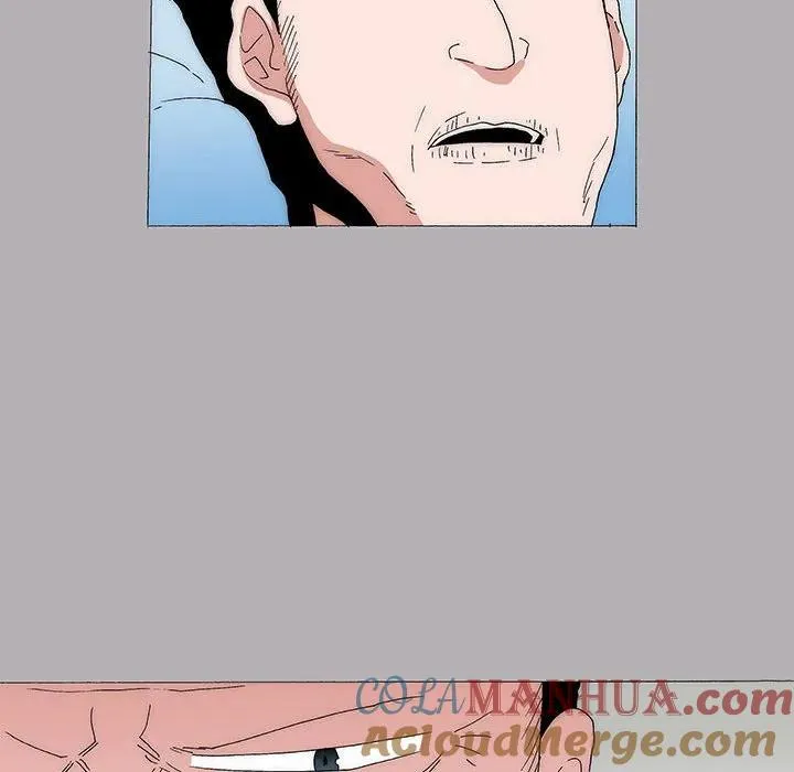 43 第31页