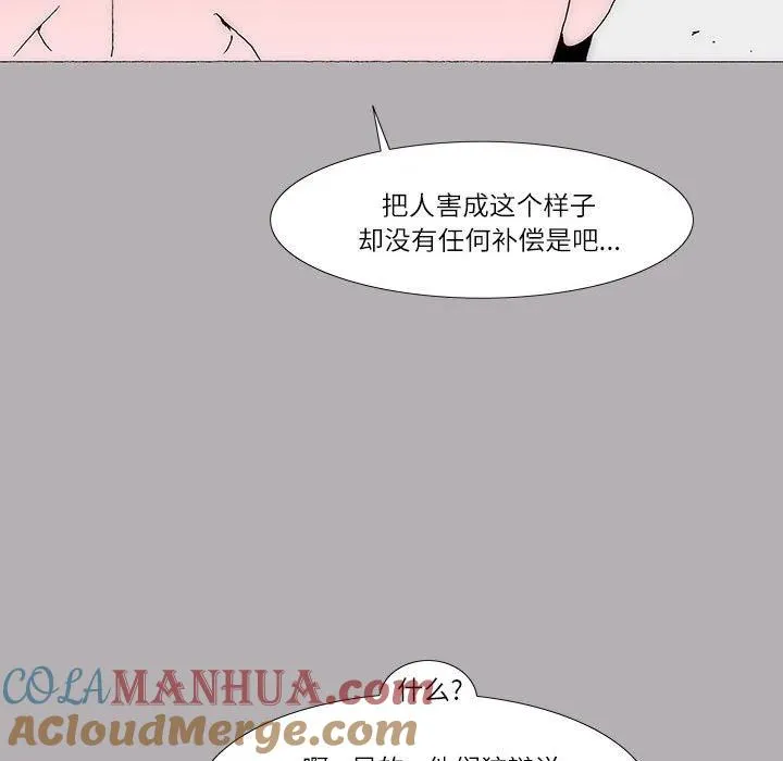 43 第43页