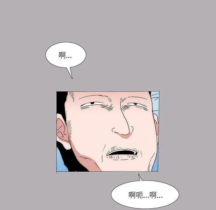 43 第48页