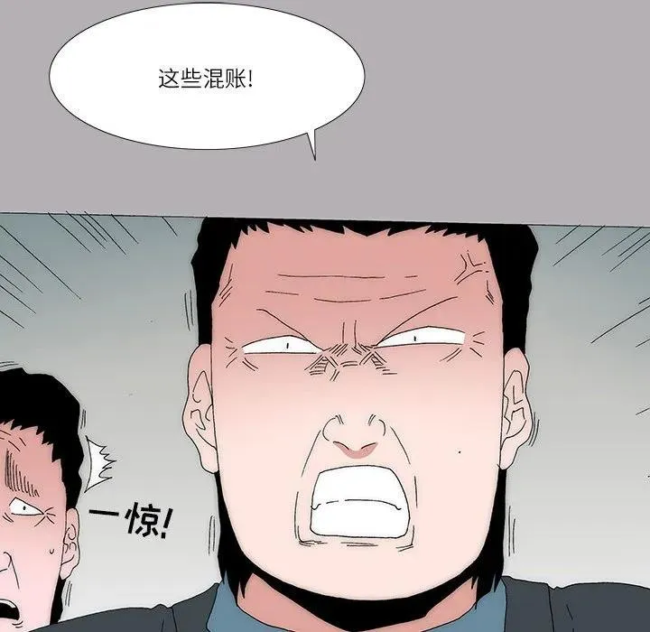 43 第51页