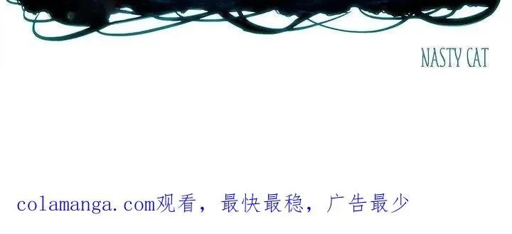 43 第54页