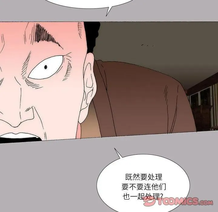 44 第41页