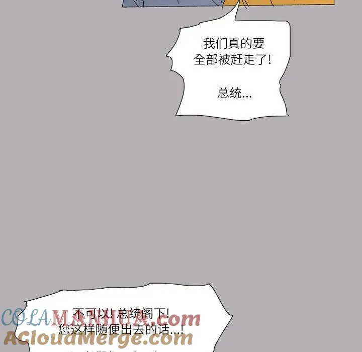 46 第25页
