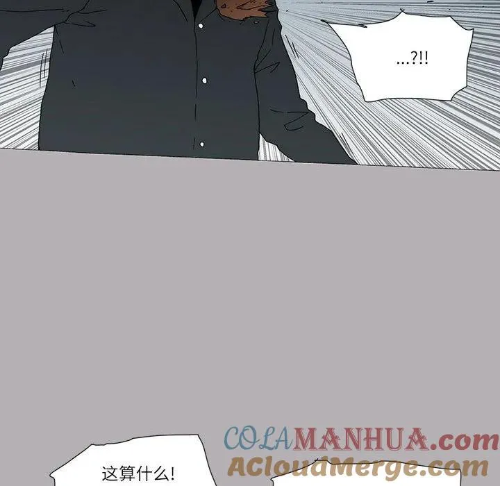 46 第34页