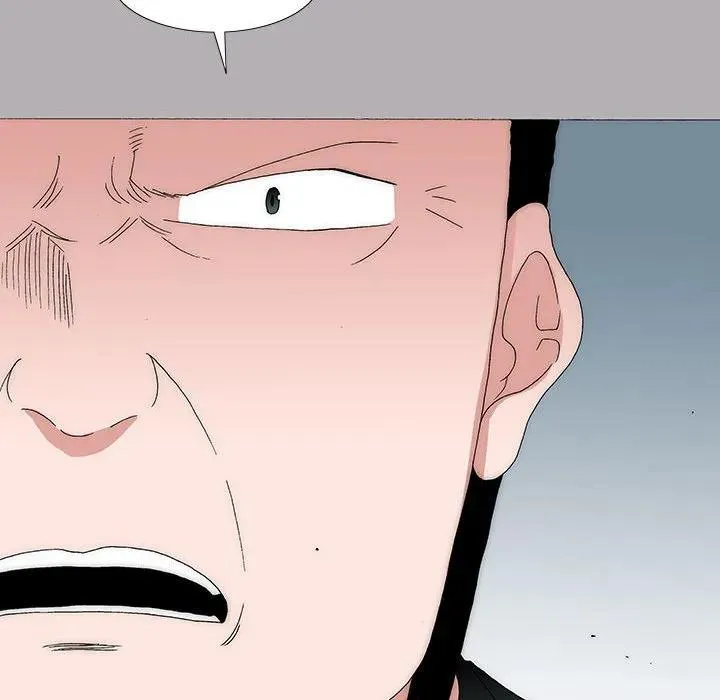 46 第44页