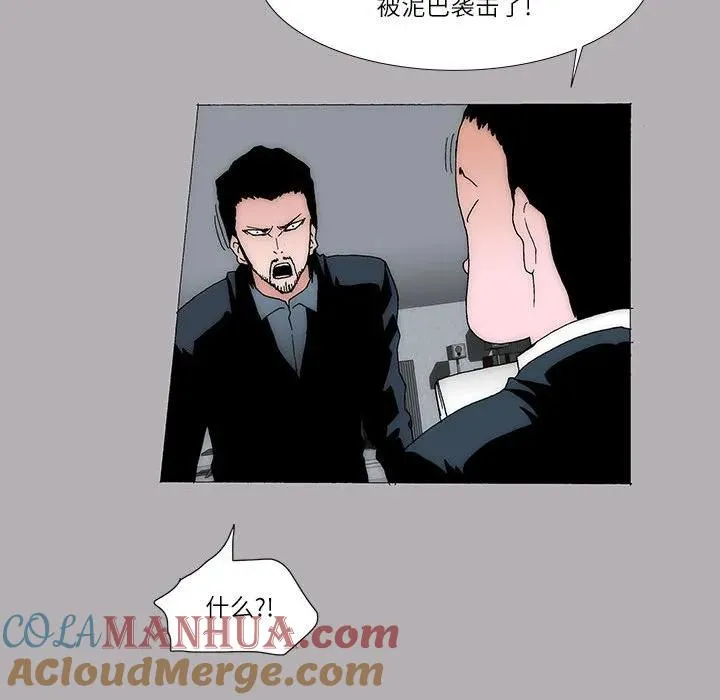 46 第49页