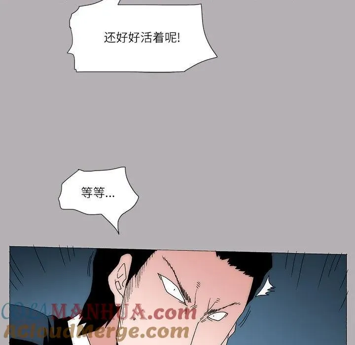 49 第40页