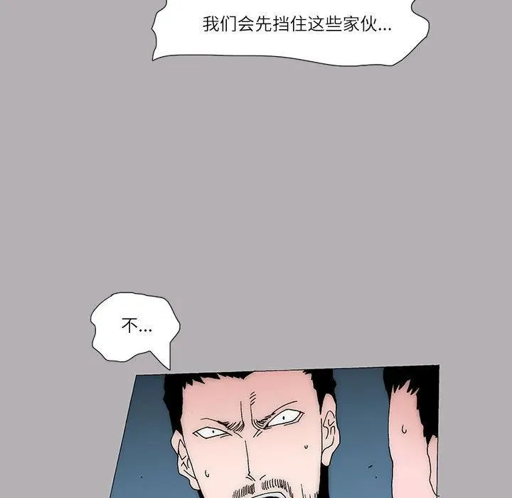 50 第17页
