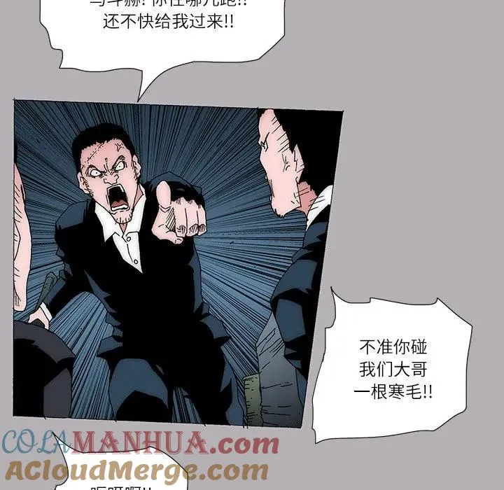 50 第19页