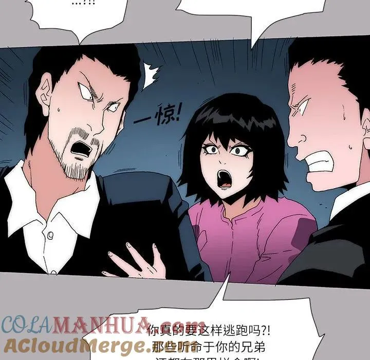 50 第25页