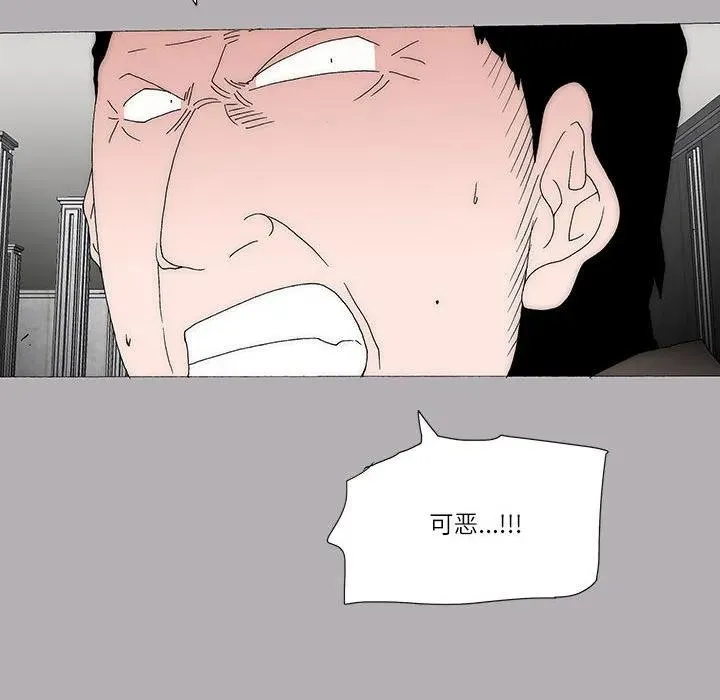 51 第48页