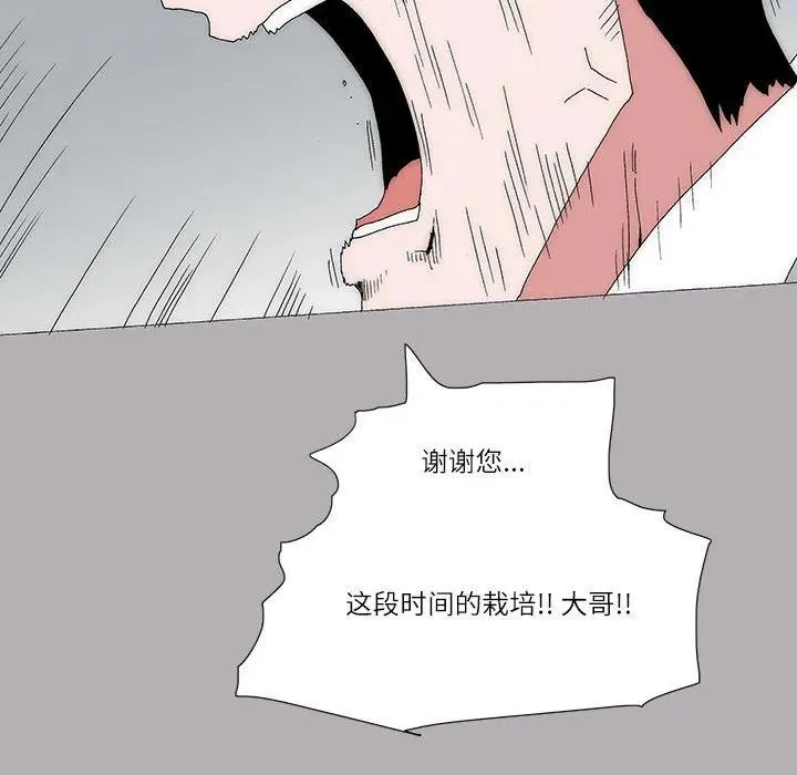 52 第29页