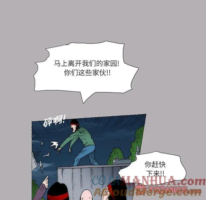 55 第19页
