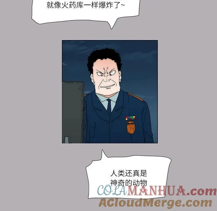 55 第25页