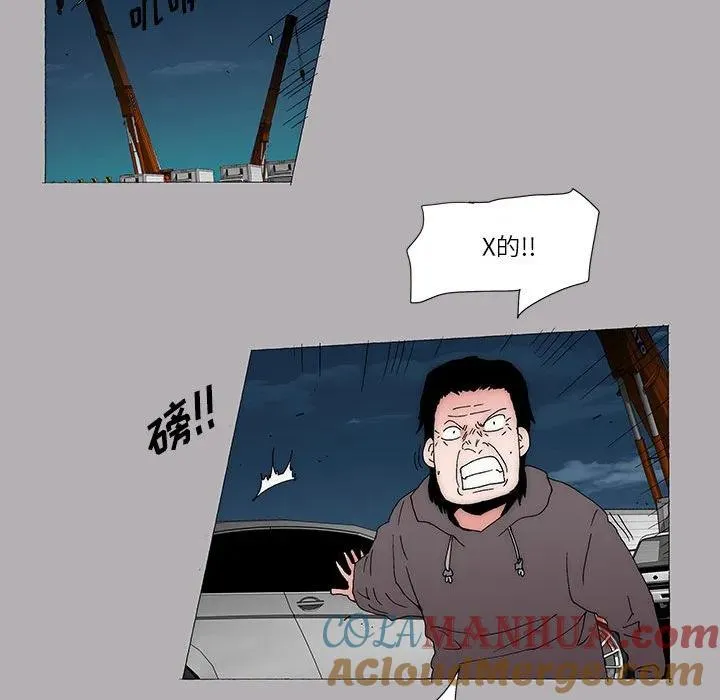 55 第31页