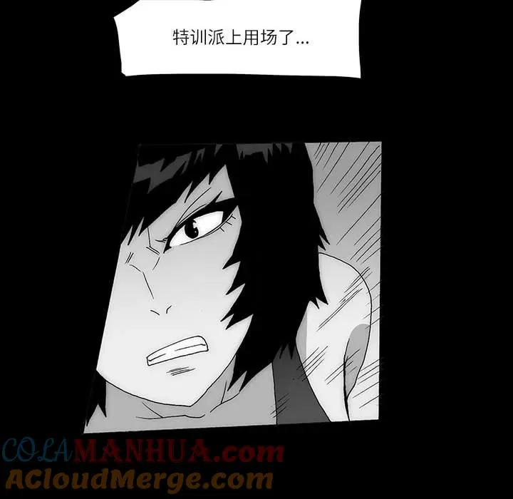 55 第40页