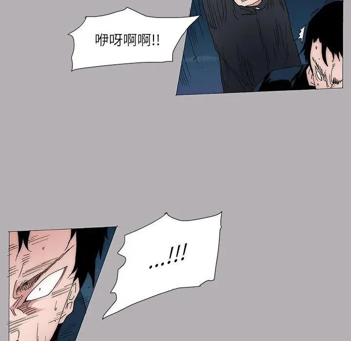 55 第45页