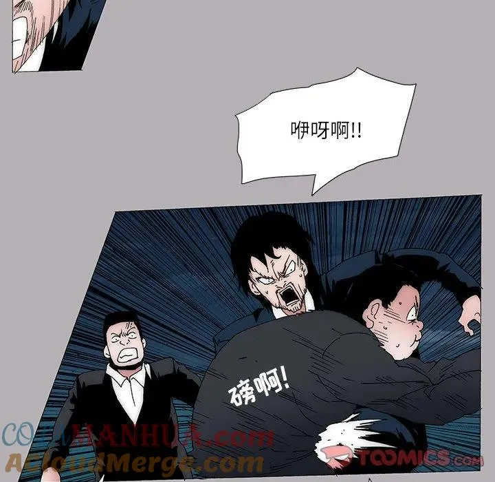 55 第46页