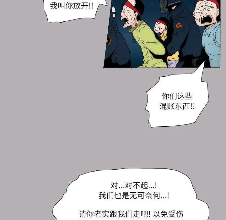 56 第5页