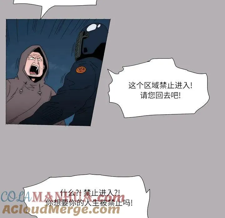 56 第10页