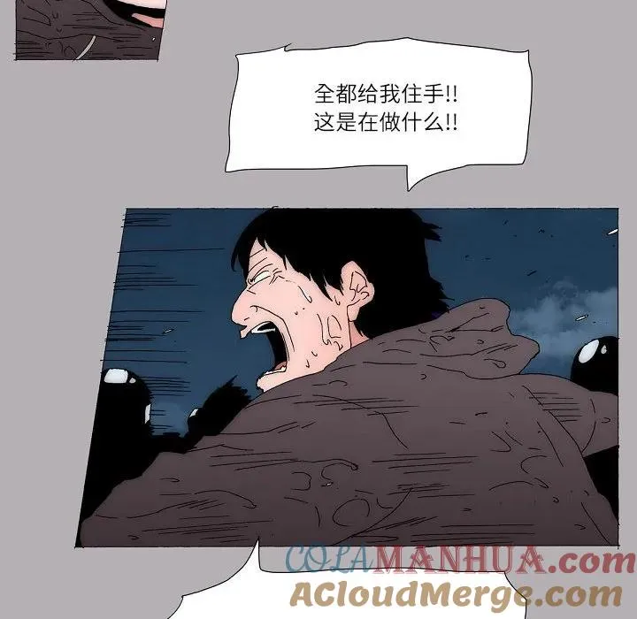 56 第28页
