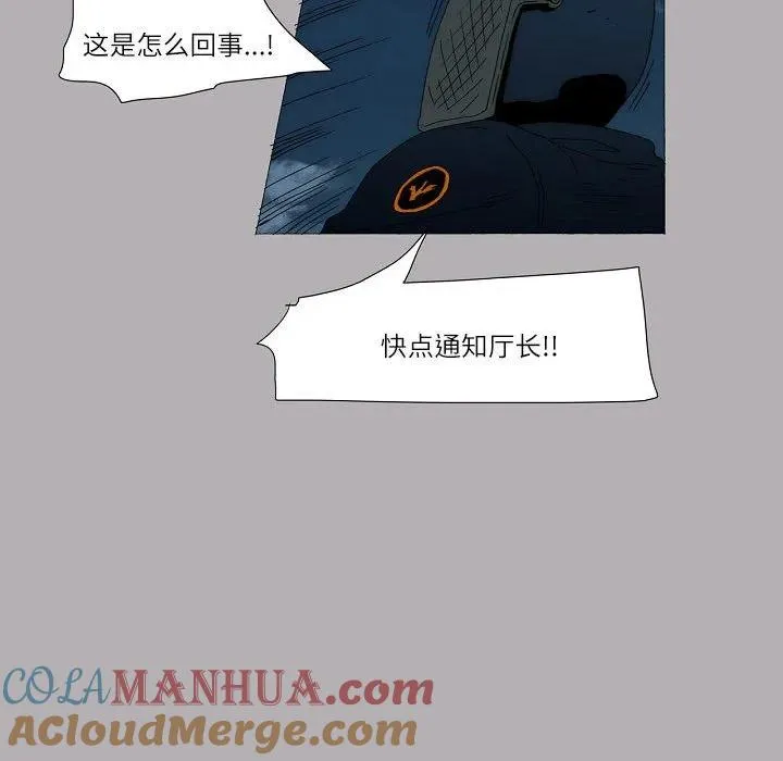 56 第31页
