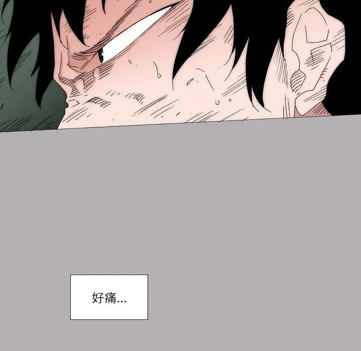 56 第56页