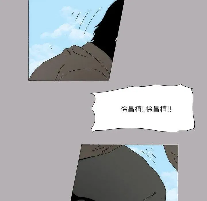 61 第96页