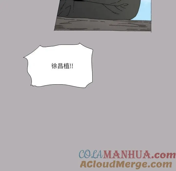 61 第97页