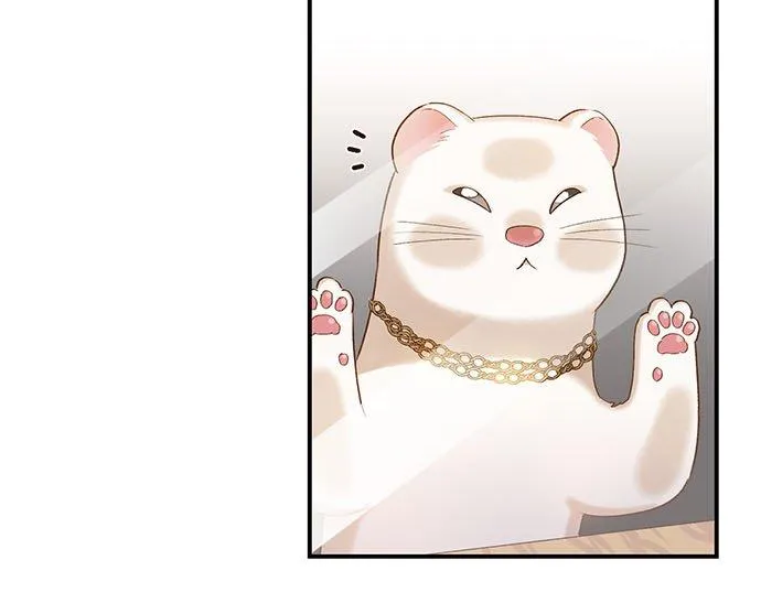 第14话 第34页