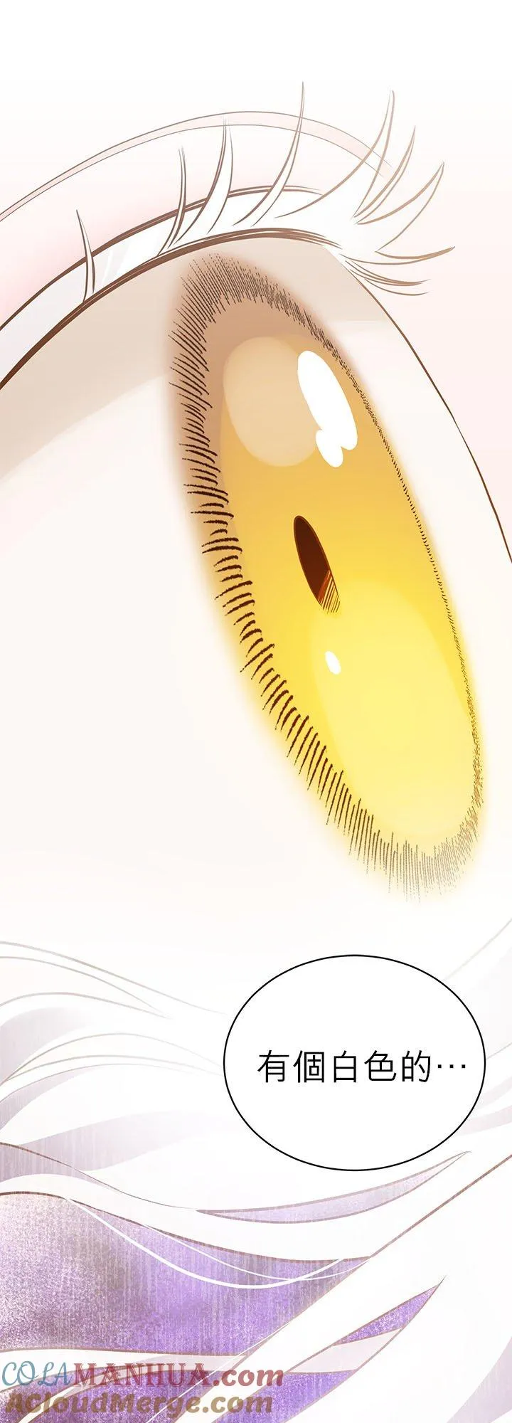 第61话 第43页