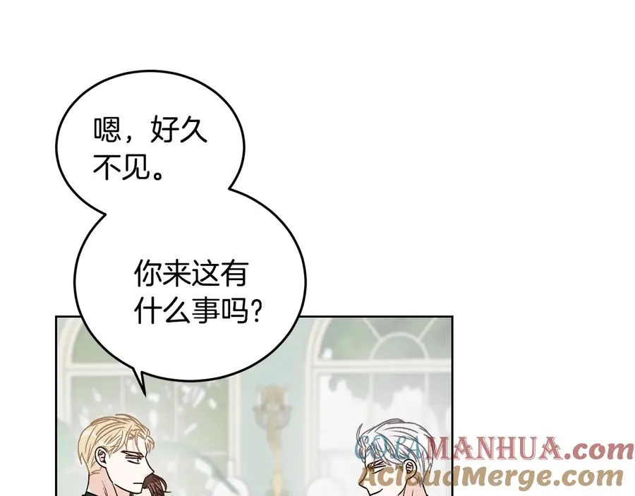 第24话 不要打他主意 第41页