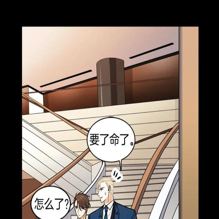 第1话 挡箭牌 第36页