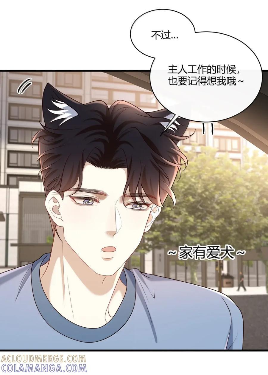 085 家有“爱犬” 第21页