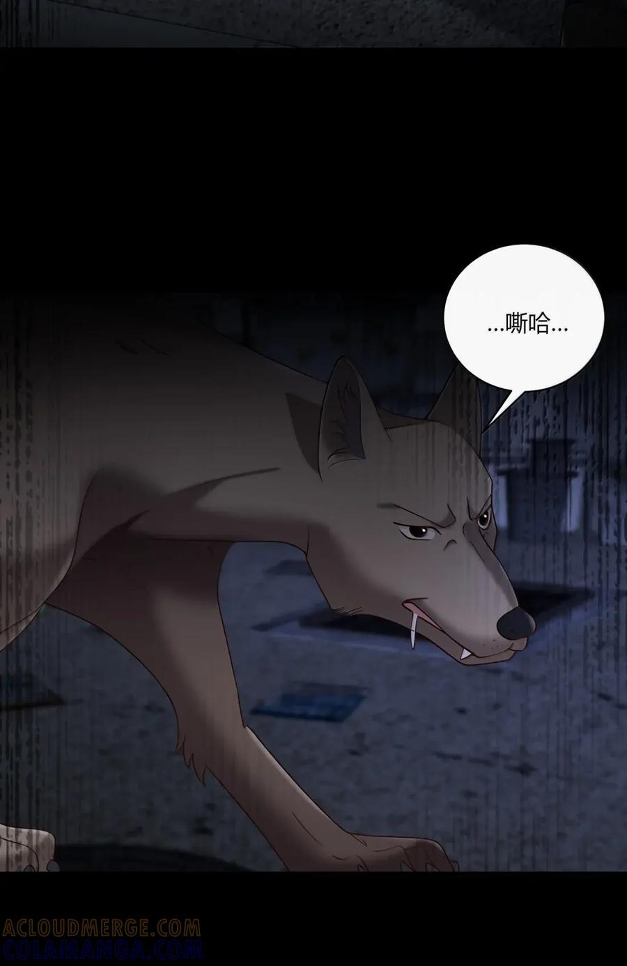086 他的真面目？ 第41页