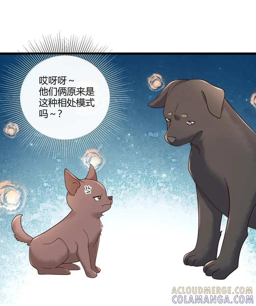 100 他们原来是这种相处模式吗 第29页