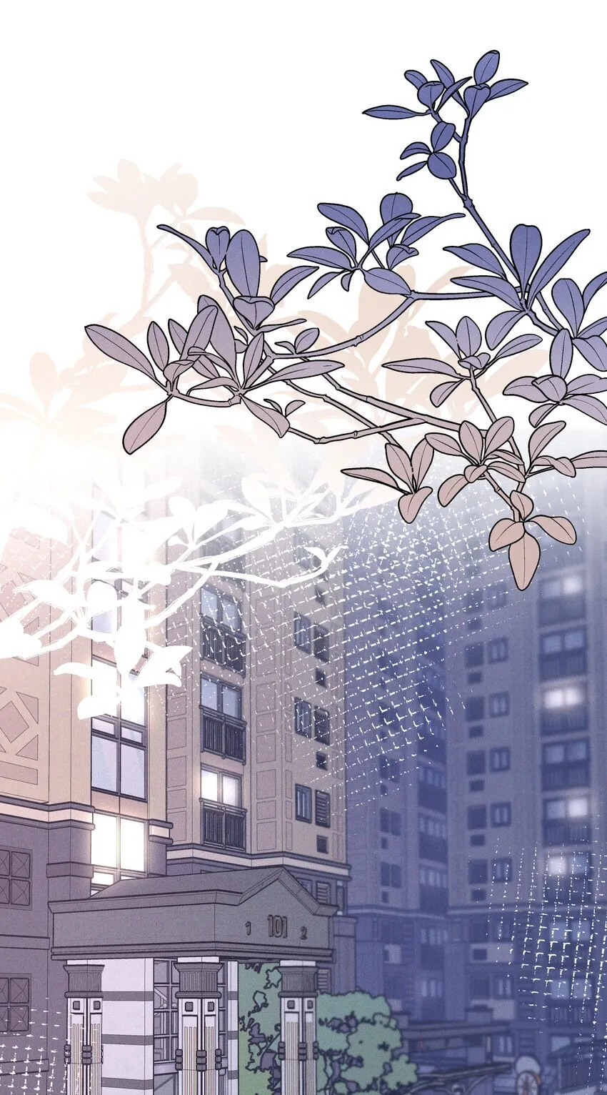 026 我也喜欢你 第1页