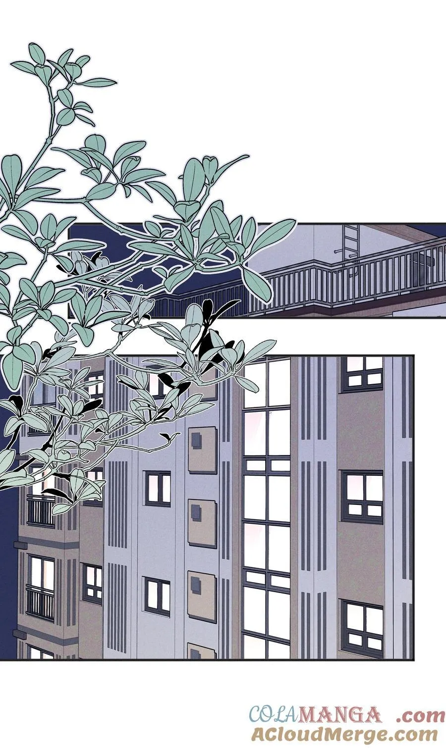 62 你的愿望实现了吗 第15页