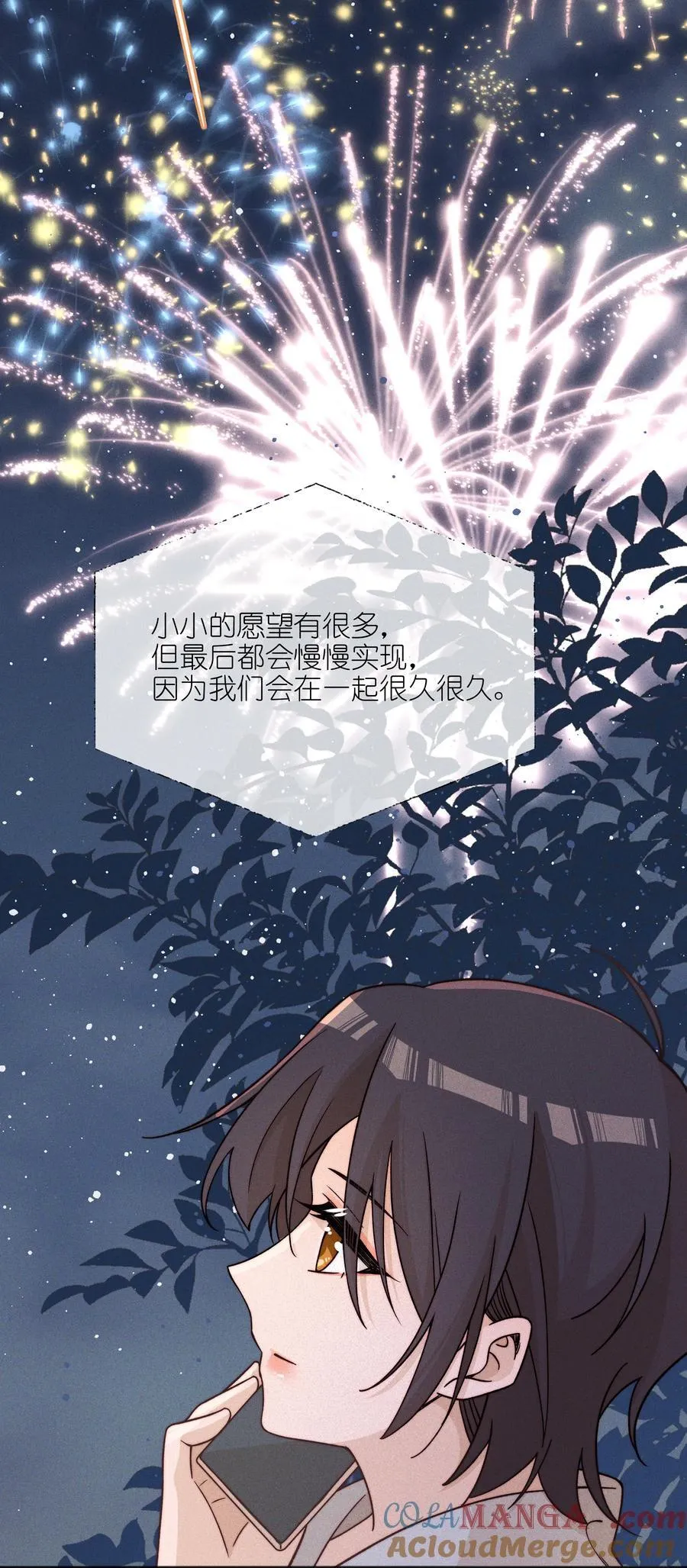 62 你的愿望实现了吗 第27页