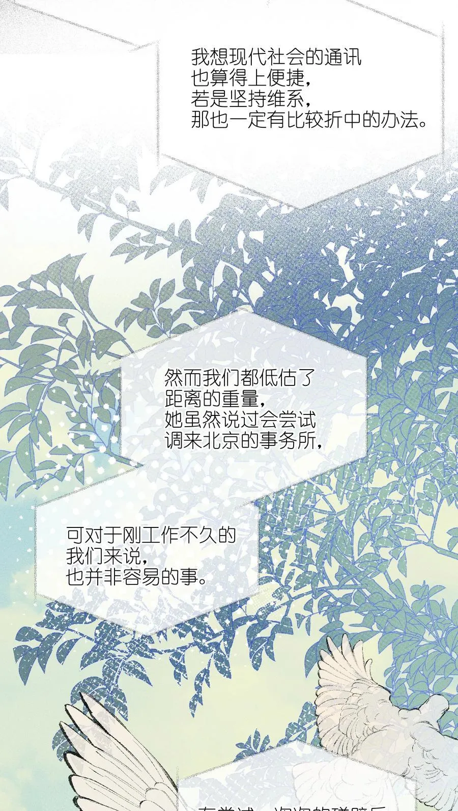 64 玫瑰 第24页