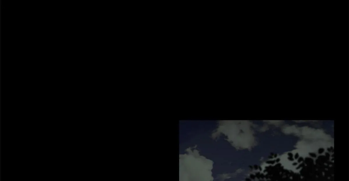 19 曹易的阴谋 第29页