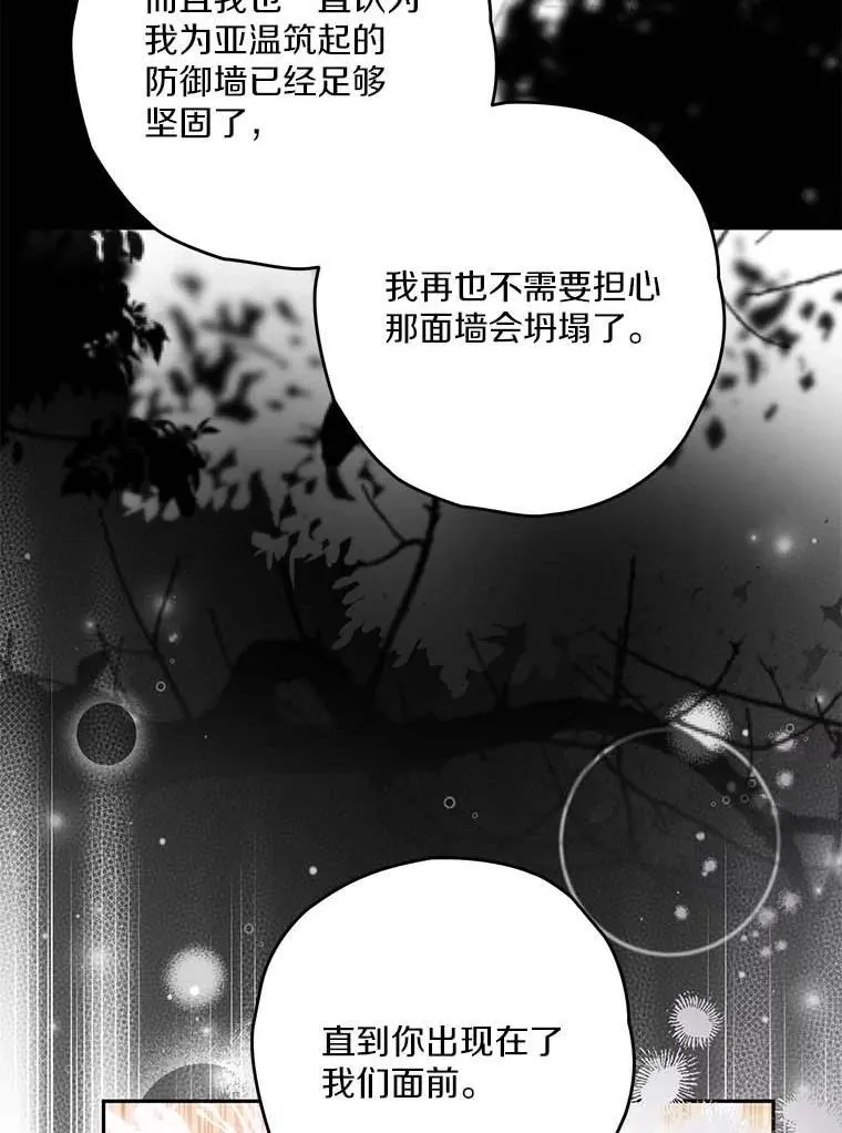 97.盾牌 第48页