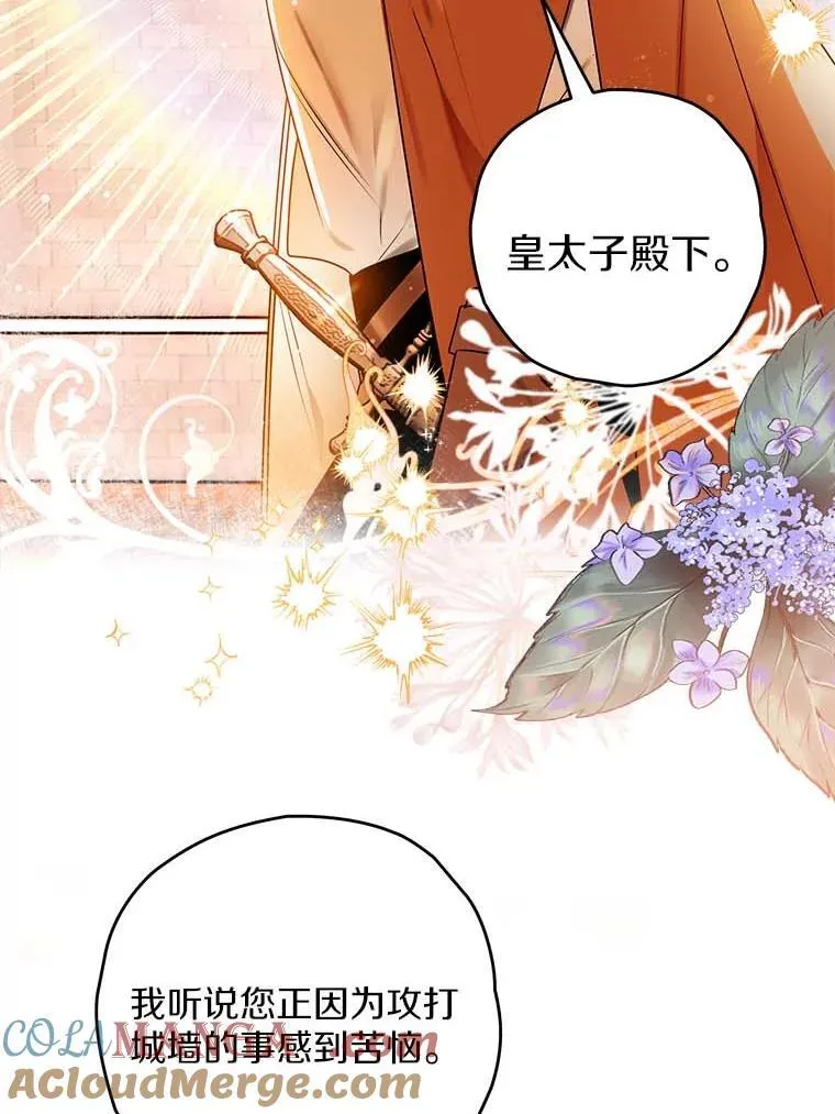 110.攻打城门 第65页