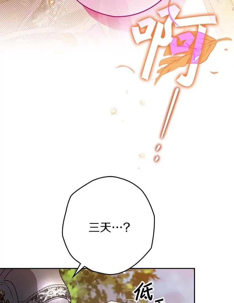 111.骑士的责任 第3页