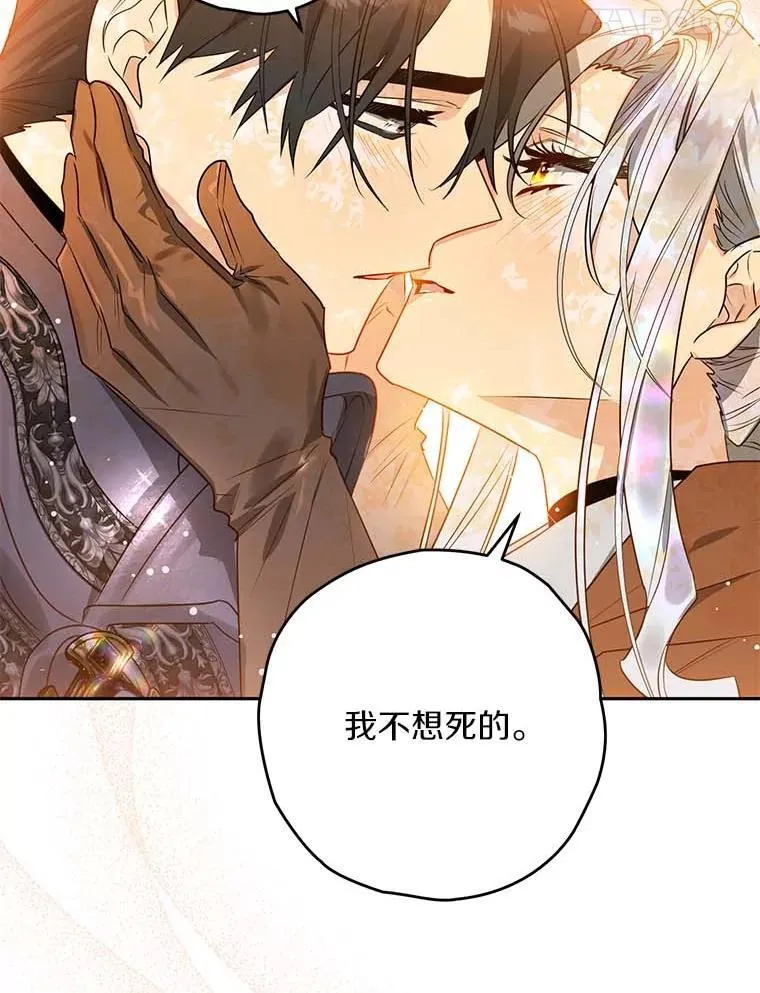 111.骑士的责任 第24页