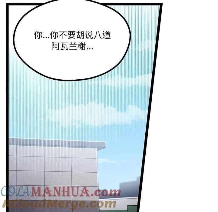 33 第13页