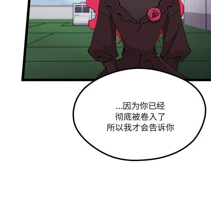 33 第62页